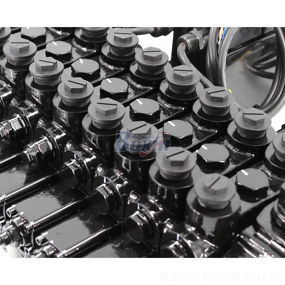 Customizable DCV150-10-NPT Hydraulic Valves - OEM, ODM & Private Label Services detail image